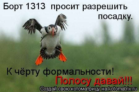 Полосу давай!!! К чёрту формальности! Борт 1313 просит разрешить посадку.... Котоматрица: Полосу давай!!! К чёрту формальности! Борт 1313 просит разрешить посадку.