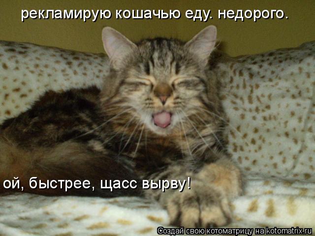 рекламирую кошачью еду. недорого. ой, быстрее, щасс вырву!... Котоматрица: рекламирую кошачью еду. недорого. ой, быстрее, щасс вырву!