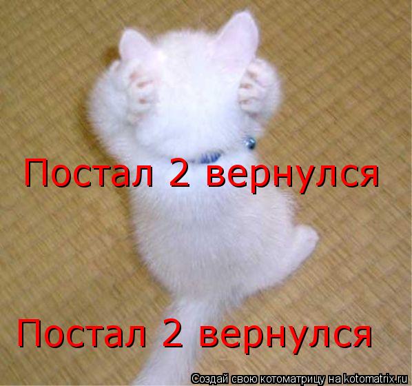 Постал 2 вернулся Постал 2 вернулся... Котоматрица: Постал 2 вернулся Постал 2 вернулся