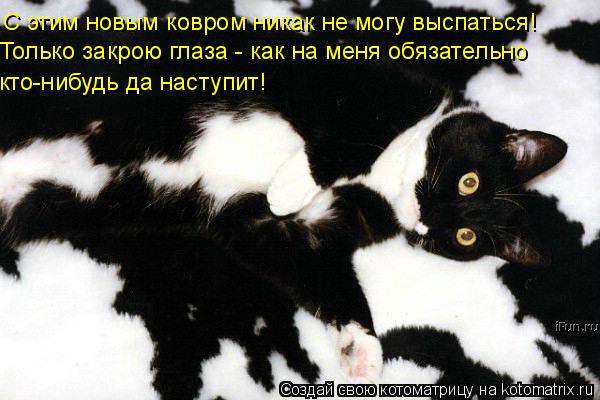 С этим новым ковром никак не могу выспаться! Только закрою глаза - как на меня обязательно кто-нибудь... Котоматрица: С этим новым ковром никак не могу выспаться! Только закрою глаза - как на меня обязательно кто-нибудь да наступит!