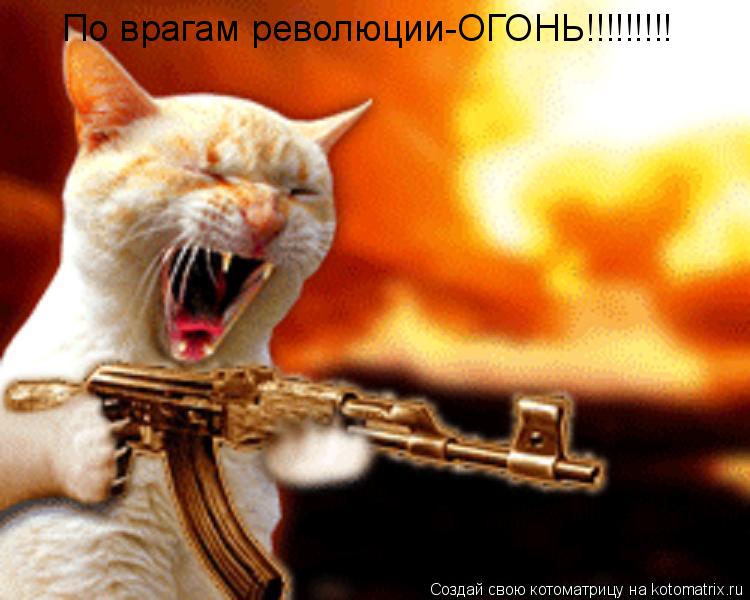 По врагам революции-ОГОНЬ!!!!!!!!!... Котоматрица: По врагам революции-ОГОНЬ!!!!!!!!!