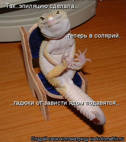 ..теперь в солярий.. ..теперь в солярий.. Так..эпиляцию сделала.. ..гадюки от зависти ядом подавятся.... Котоматрица: ..теперь в солярий.. ..теперь в солярий.. Так..эпиляцию сделала.. ..гадюки от зависти ядом подавятся..
