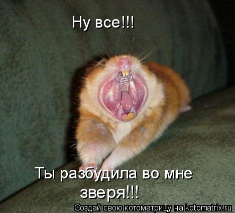 Ну все!!! Ты разбудила во мне зверя!!!... Котоматрица: Ну все!!! Ты разбудила во мне зверя!!!