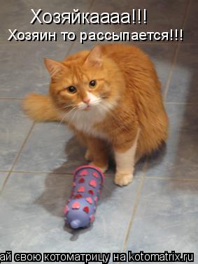 Хозяйкаааа!!! Хозяин то рассыпается!!!... Котоматрица: Хозяйкаааа!!! Хозяин то рассыпается!!!