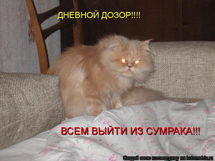 http://kotomatrix.ru/images/lolz/2008/08/24/6x.jpg