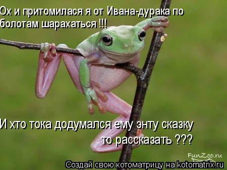 Ох и притомилася я от Ивана-дурака по И хто тока додумался ему энту сказку то рассказать ??? болотам ... Котоматрица: Ох и притомилася я от Ивана-дурака по И хто тока додумался ему энту сказку то рассказать ??? болотам шарахаться !!!