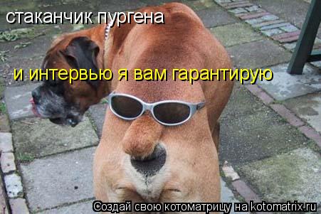 стаканчик пургена и интервью я вам гарантирую... Котоматрица: стаканчик пургена и интервью я вам гарантирую