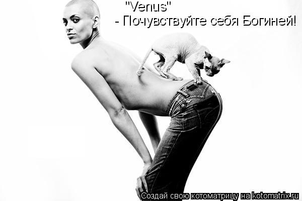 Котоматрица: "Venus"  - Почувствуйте себя Богиней!