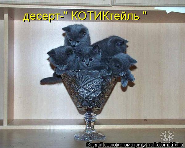 Котоматрица: десерт-" КОТИКтейль "