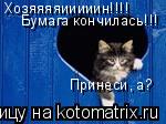 Хозяяяяииииин!!!! Бумага кончилась!!! Принеси, а?... Котоматрица: Хозяяяяииииин!!!! Бумага кончилась!!! Принеси, а?
