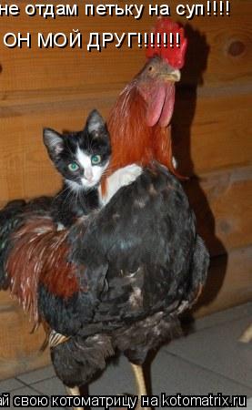 не отдам петьку на суп!!!! ОН МОЙ ДРУГ!!!!!!!... Котоматрица: не отдам петьку на суп!!!! ОН МОЙ ДРУГ!!!!!!!