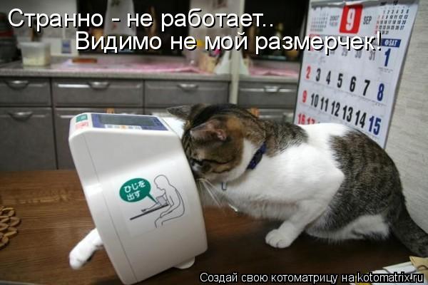 Странно - не работает.. Видимо не мой размерчек!... Котоматрица: Странно - не работает.. Видимо не мой размерчек!