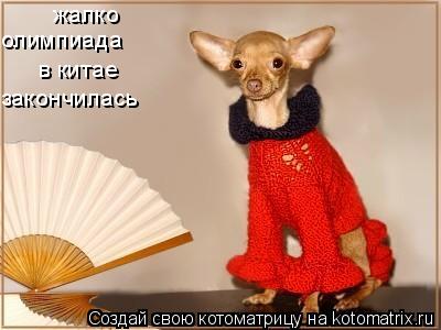 жалко олимпиада в китае закончилась... Котоматрица: жалко олимпиада в китае закончилась