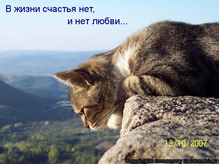 В жизни счастья нет, и нет любви...... Котоматрица: В жизни счастья нет, и нет любви...