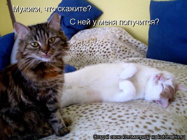 С ней у меня получится? Мужики, что скажите?... Котоматрица: С ней у меня получится? Мужики, что скажите?