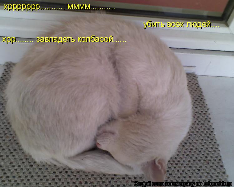 хррррррр........... мммм........... убить всех людей.... хрр........ завладеть колбасой......... Котоматрица: хррррррр........... мммм........... убить всех людей.... хрр........ завладеть колбасой......