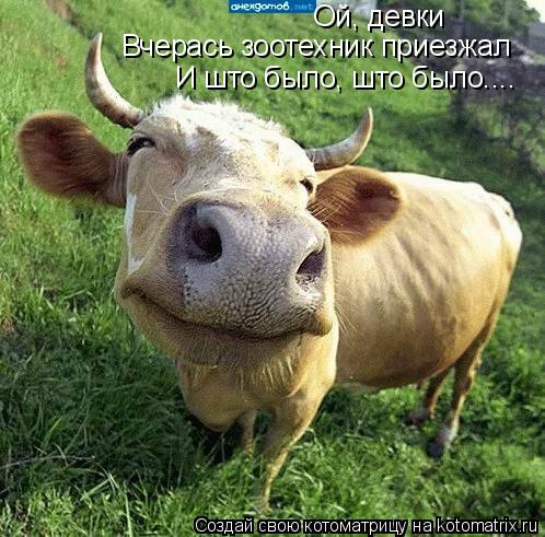 Ой, девки Вчерась зоотехник приезжал И што было, што было....... Котоматрица: Ой, девки Вчерась зоотехник приезжал И што было, што было....