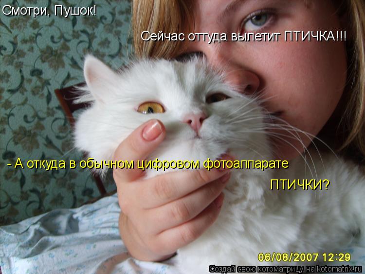 Смотри, Пушок! Сейчас оттуда вылетит ПТИЧКА!!! - А откуда в обычном цифровом фотоаппарате ПТИЧКИ?... Котоматрица: Смотри, Пушок! Сейчас оттуда вылетит ПТИЧКА!!! - А откуда в обычном цифровом фотоаппарате ПТИЧКИ?