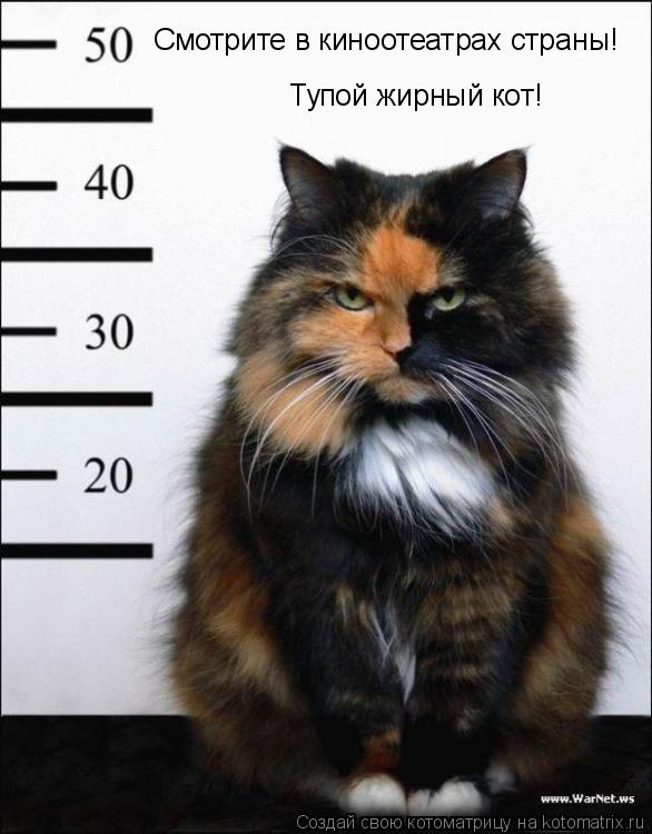 Смотрите в киноотеатрах страны! Тупой жирный кот!... Котоматрица: Смотрите в киноотеатрах страны! Тупой жирный кот!