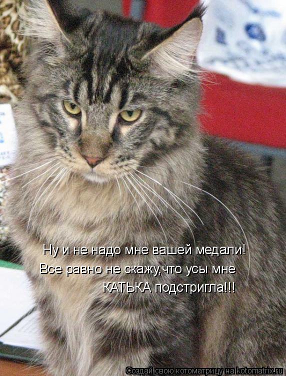 Ну и не надо мне вашей медали! Все равно не скажу,что усы мне КАТЬКА подстригла!!!... Котоматрица: Ну и не надо мне вашей медали! Все равно не скажу,что усы мне КАТЬКА подстригла!!!