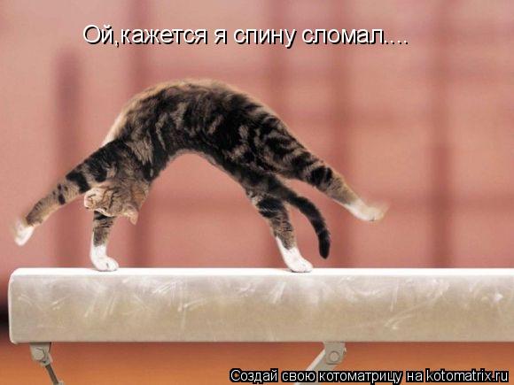 Ой,кажется я спину сломал....... Котоматрица: Ой,кажется я спину сломал....
