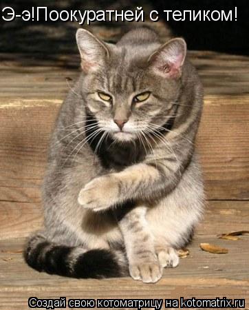 Э-э!Поокуратней с теликом!... Котоматрица: Э-э!Поокуратней с теликом!