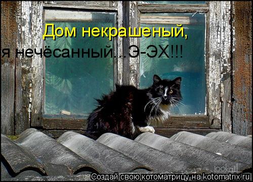 Котоматрица: Дом некрашеный, я нечёсанный...Э-ЭХ!!!