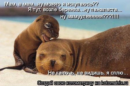 Мам, а мам...ну можно я искупаюсь?? Я тут, возле бережка...ну пажаласта... ну мамууляяяяяя???!!!! Не ... Котоматрица: Мам, а мам...ну можно я искупаюсь?? Я тут, возле бережка...ну пажаласта... ну мамууляяяяяя???!!!! Не канючь, не видишь, я сплю...