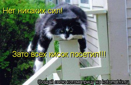 Нет никаких сил! Зато всех кисок посетил!!!... Котоматрица: Нет никаких сил! Зато всех кисок посетил!!!