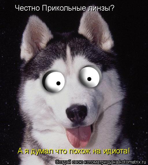 Честно Прикольные линзы? А я думал что похож на идиота!... Котоматрица: Честно Прикольные линзы? А я думал что похож на идиота!