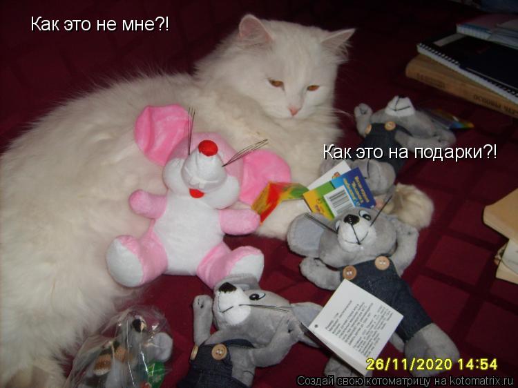 Как это не мне?! Как это на подарки?!... Котоматрица: Как это не мне?! Как это на подарки?!