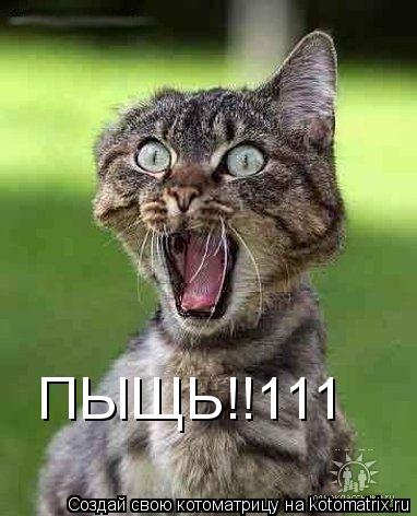 ПЫЩЬ!!111... Котоматрица: ПЫЩЬ!!111
