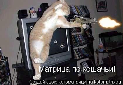 Матрица по кошачьи!... Котоматрица: Матрица по кошачьи!