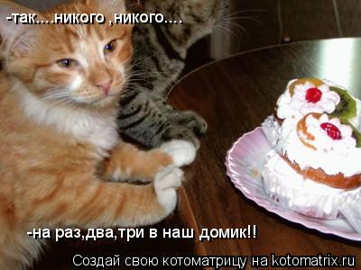 -так....никого ,никого.... -на раз,два,три в наш домик!!... Котоматрица: -так....никого ,никого.... -на раз,два,три в наш домик!!