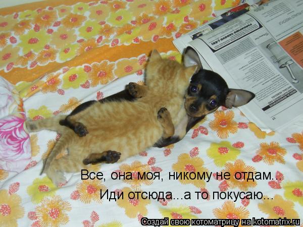 Все, она моя, никому не отдам... Иди отсюда...а то покусаю...... Котоматрица: Все, она моя, никому не отдам... Иди отсюда...а то покусаю...