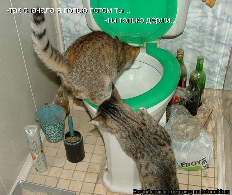 -так сначала я попью,потом ты... -ты только держи...... Котоматрица: -так сначала я попью,потом ты... -ты только держи...