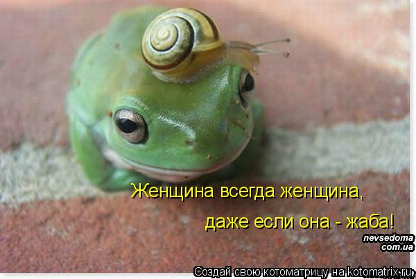 Женщина всегда женщина, даже если она - жаба!... Котоматрица: Женщина всегда женщина, даже если она - жаба!