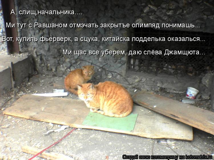 А, слищ,начальника.... Вот, купиль фьерверк, а сцука, китайска подделька оказалься... Ми щас все убер... Котоматрица: А, слищ,начальника.... Вот, купиль фьерверк, а сцука, китайска подделька оказалься... Ми щас все уберем, даю слёва Джамщюта... Ми тут с Равшаном о