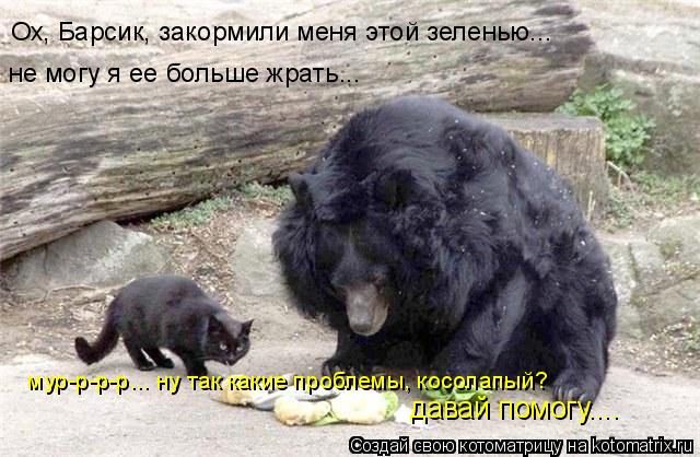 Ох, Барсик, закормили меня этой зеленью... не могу я ее больше жрать... мур-р-р-р... ну так какие про... Котоматрица: Ох, Барсик, закормили меня этой зеленью... не могу я ее больше жрать... мур-р-р-р... ну так какие проблемы, косолапый? давай помогу....