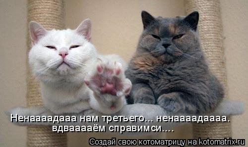 Ненаааадааа нам третьего... ненаааадаааа. вдвааааём справимси....... Котоматрица: Ненаааадааа нам третьего... ненаааадаааа. вдвааааём справимси....
