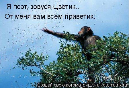 Я поэт, зовуся Цветик... От меня вам всем приветик...... Котоматрица: Я поэт, зовуся Цветик... От меня вам всем приветик...