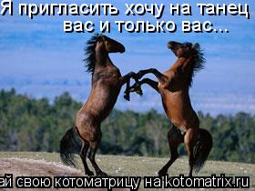 Я пригласить хочу на танец вас и только вас...... Котоматрица: Я пригласить хочу на танец вас и только вас...