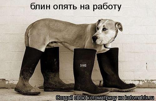 блин опять на работу... Котоматрица: блин опять на работу
