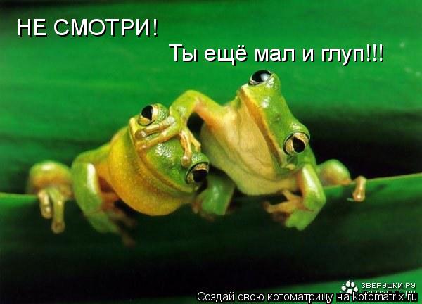 НЕ СМОТРИ! Ты ещё мал и глуп!!!... Котоматрица: НЕ СМОТРИ! Ты ещё мал и глуп!!!