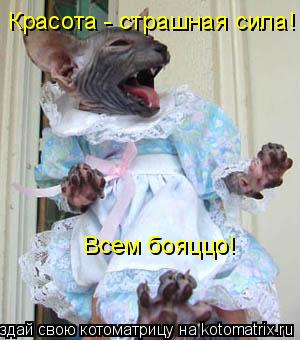 Красота - страшная сила! Всем бояццо!... Котоматрица: Красота - страшная сила! Всем бояццо!