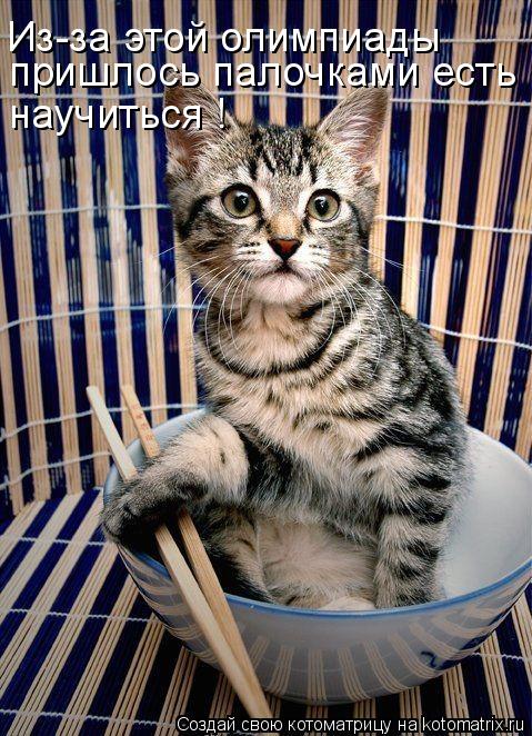 пришлось палочками есть Из-за этой олимпиады научиться !... Котоматрица: пришлось палочками есть Из-за этой олимпиады научиться !