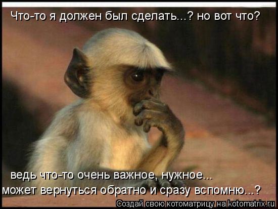 Что-то я должен был сделать...? но вот что? ведь что-то очень важное, нужное... может вернуться обрат... Котоматрица: Что-то я должен был сделать...? но вот что? ведь что-то очень важное, нужное... может вернуться обратно и сразу вспомню...?