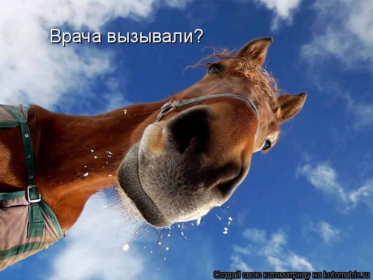 Врача вызывали?... Котоматрица: Врача вызывали?