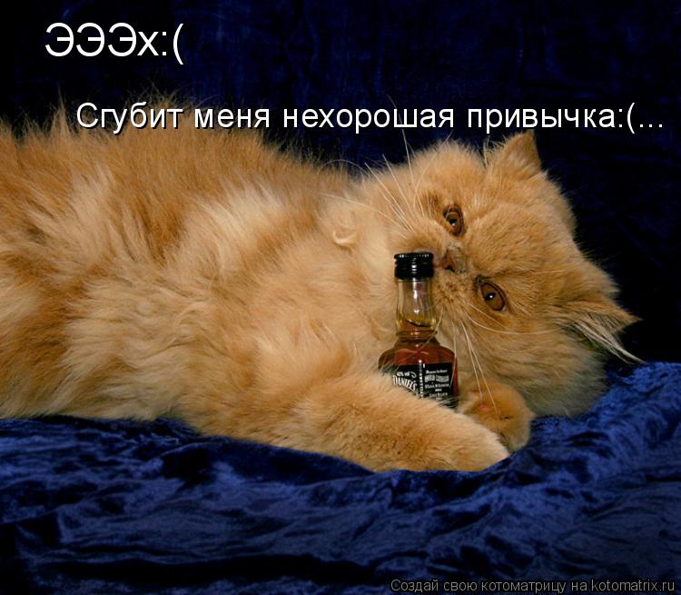 ЭЭЭх:( Сгубит меня нехорошая привычка:(...... Котоматрица: ЭЭЭх:( Сгубит меня нехорошая привычка:(...
