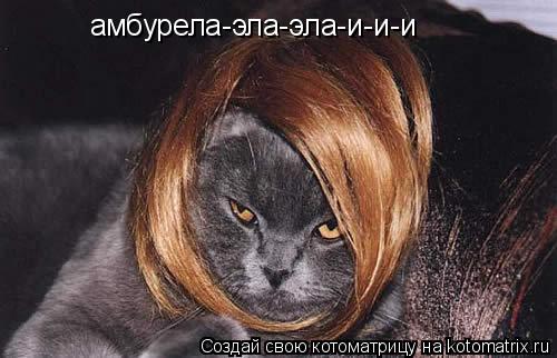 амбурела-эла-эла-и-и-и... Котоматрица: амбурела-эла-эла-и-и-и
